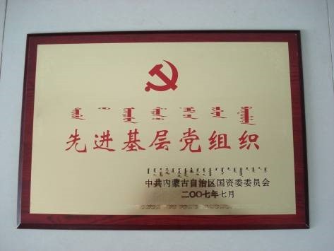 荣获先进基层党组织