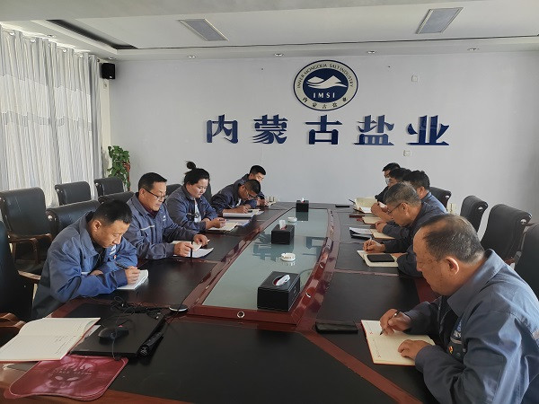 额吉淖尔制盐有限公司各党支部分别召开2024年度组织生活会